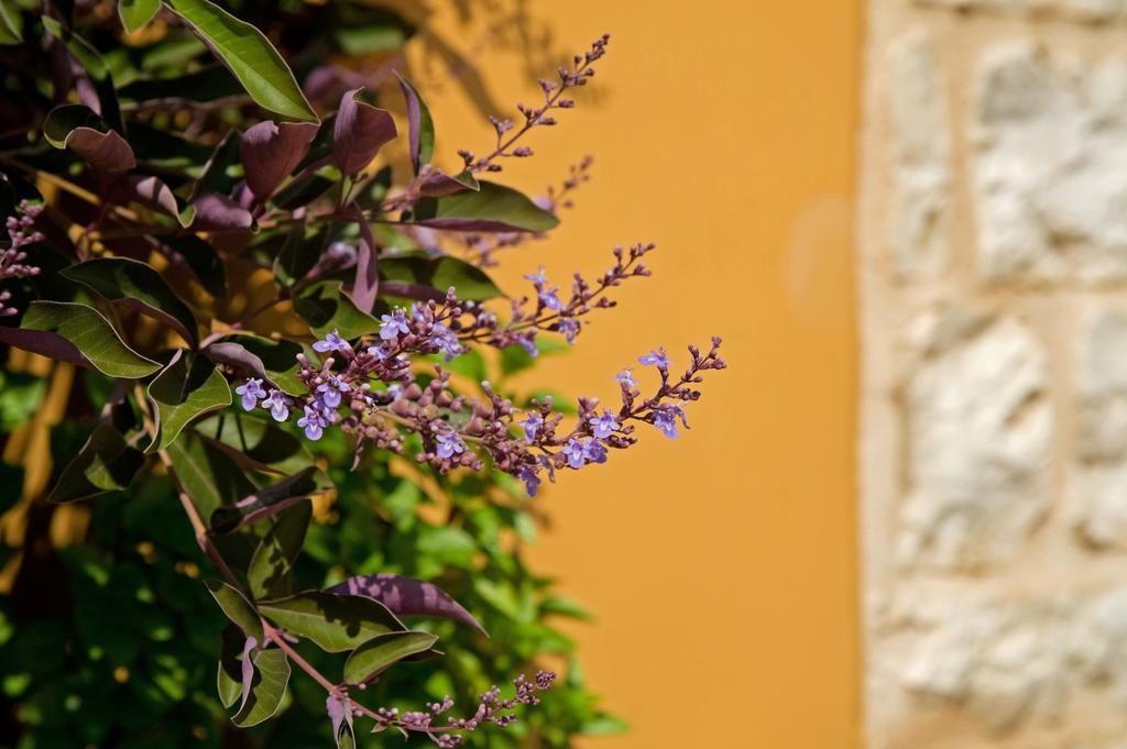 Enastron Villas Kyparissia Luaran gambar