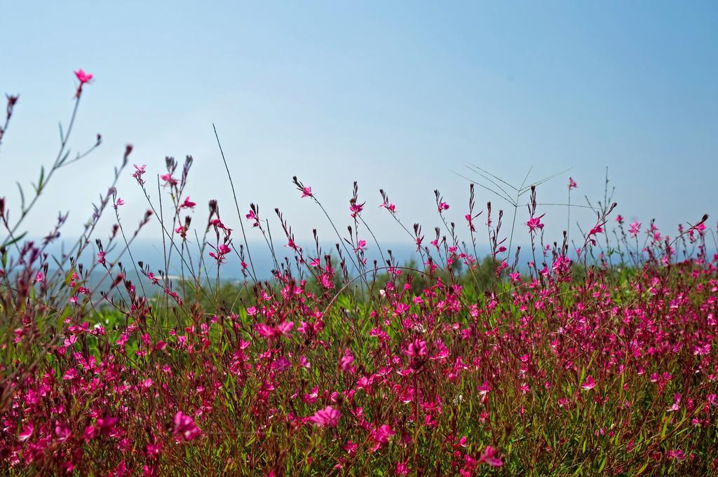 Enastron Villas Kyparissia Luaran gambar